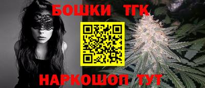 индика Партизанск
