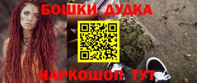 индика Партизанск