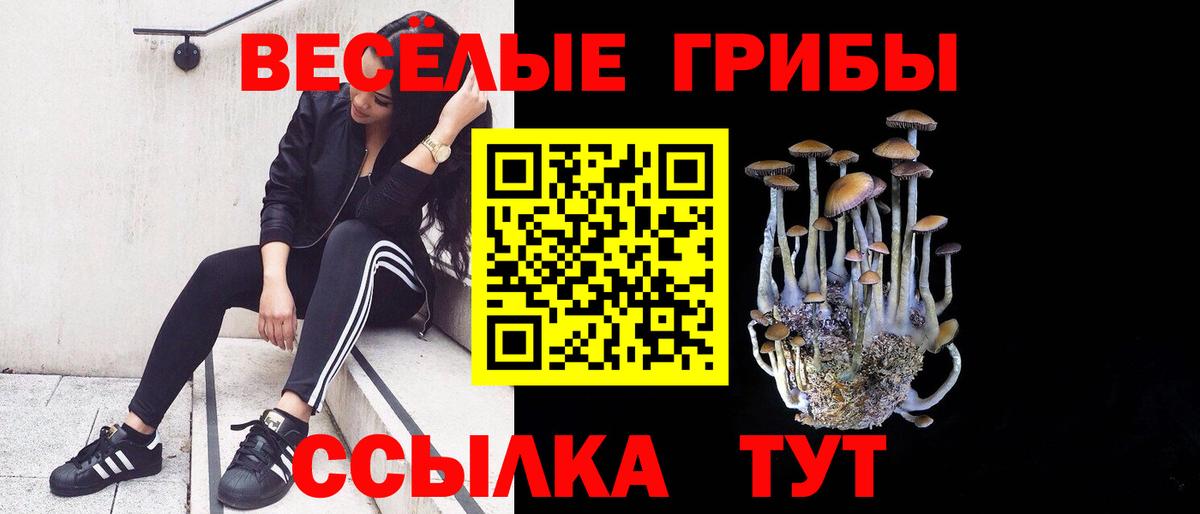 Ртищево  Псилоцибиновые грибы Psilocybine cubensis  Галлюциногенные грибы прущие грибы  Вход с VPN 