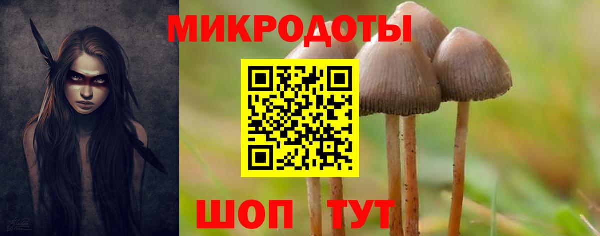 Галлюциногенные грибы прущие грибы Ртищево